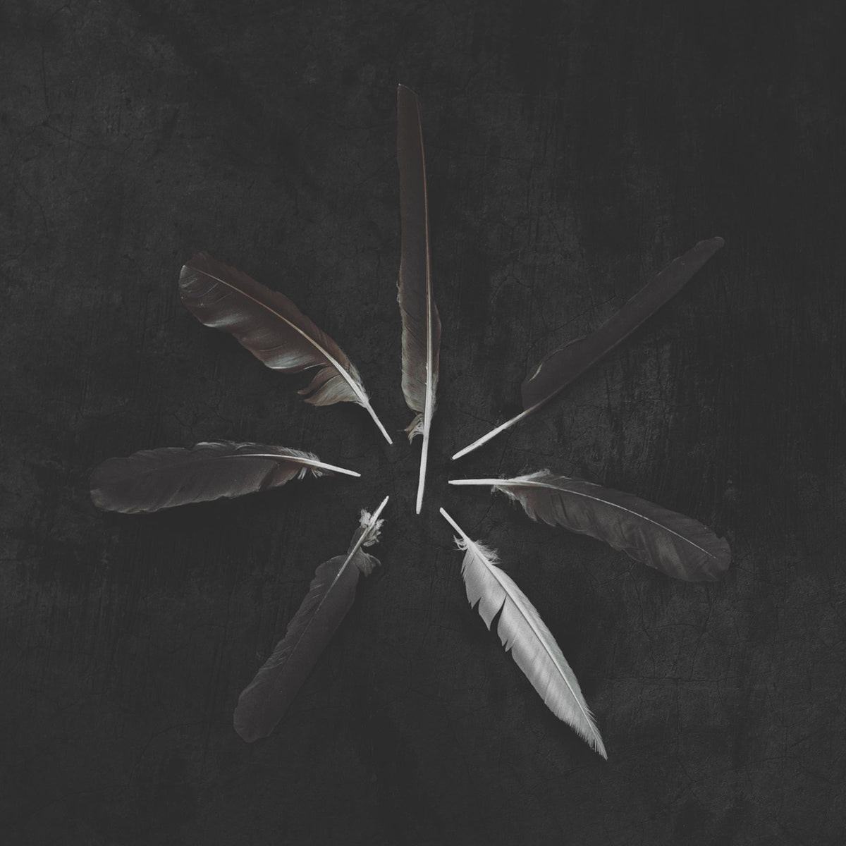 Caspian – Dust and Disquiet vinyl record cover