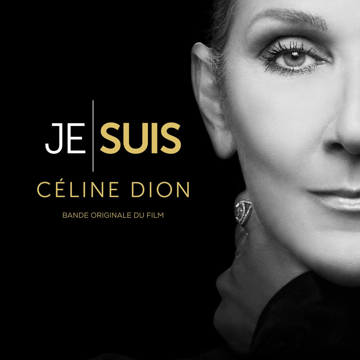 Céline Dion – Je Suis vinyl record cover