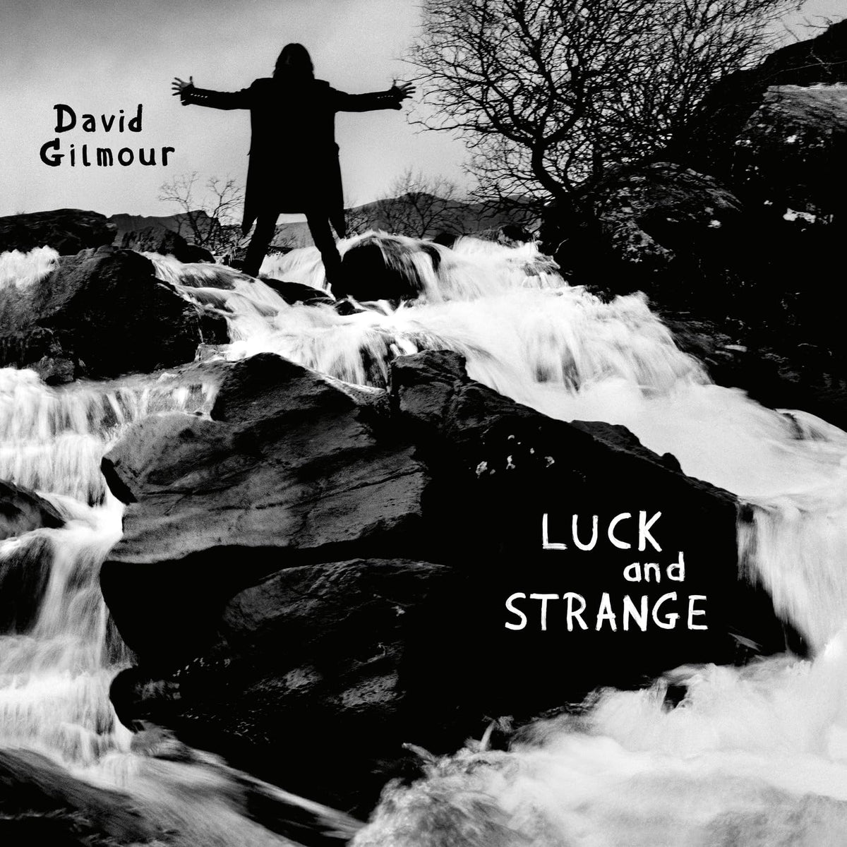 David Gilmour – Luck and Strange vinyl record cover
