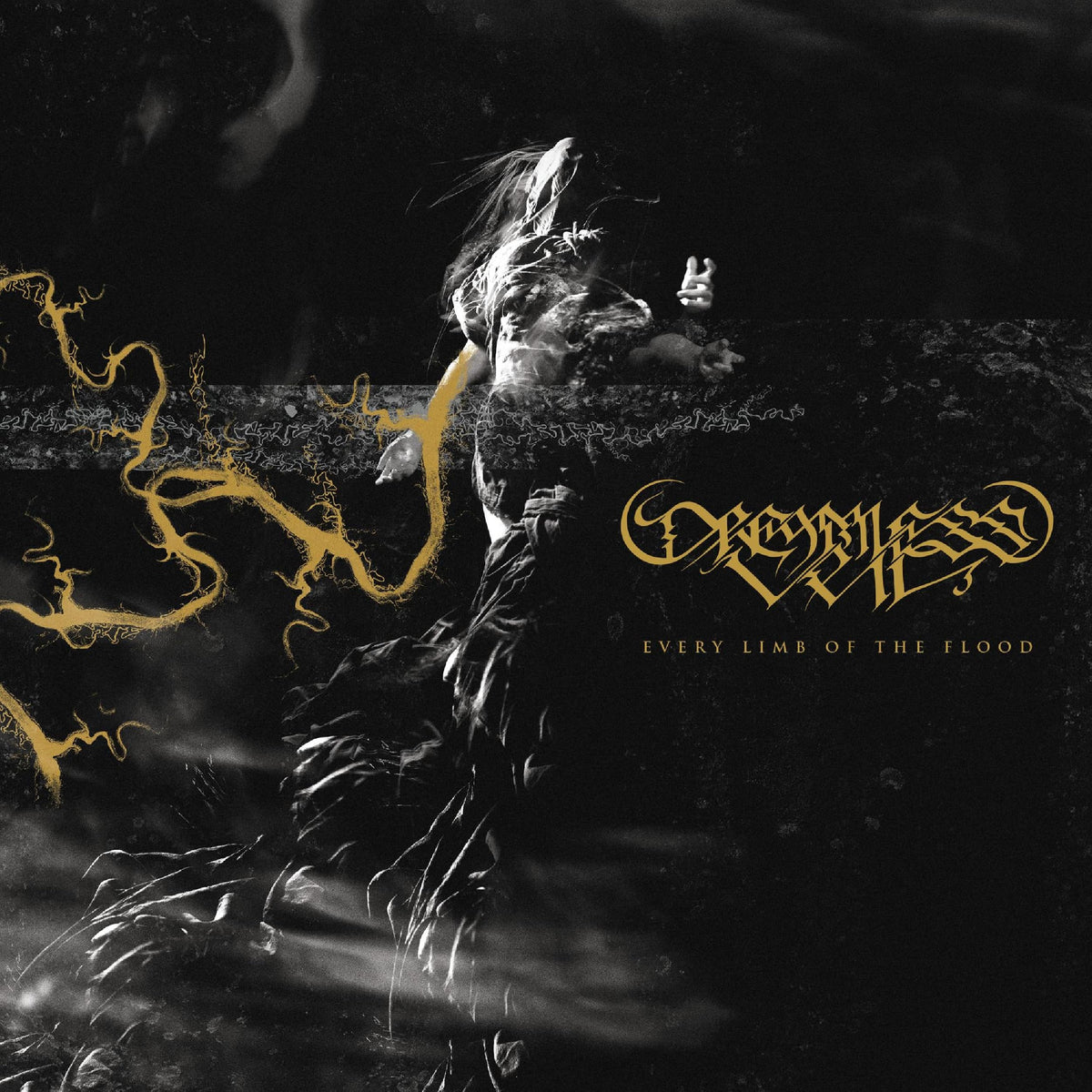 Dreamless Veil – Every Limb of the Flood vinyl record cover