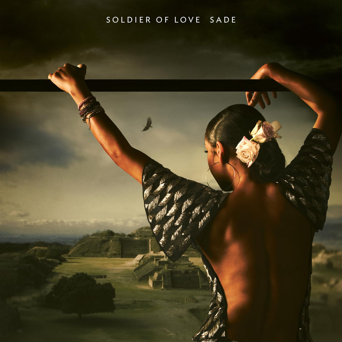 Sade – Soldier of Love vinyl record cover
