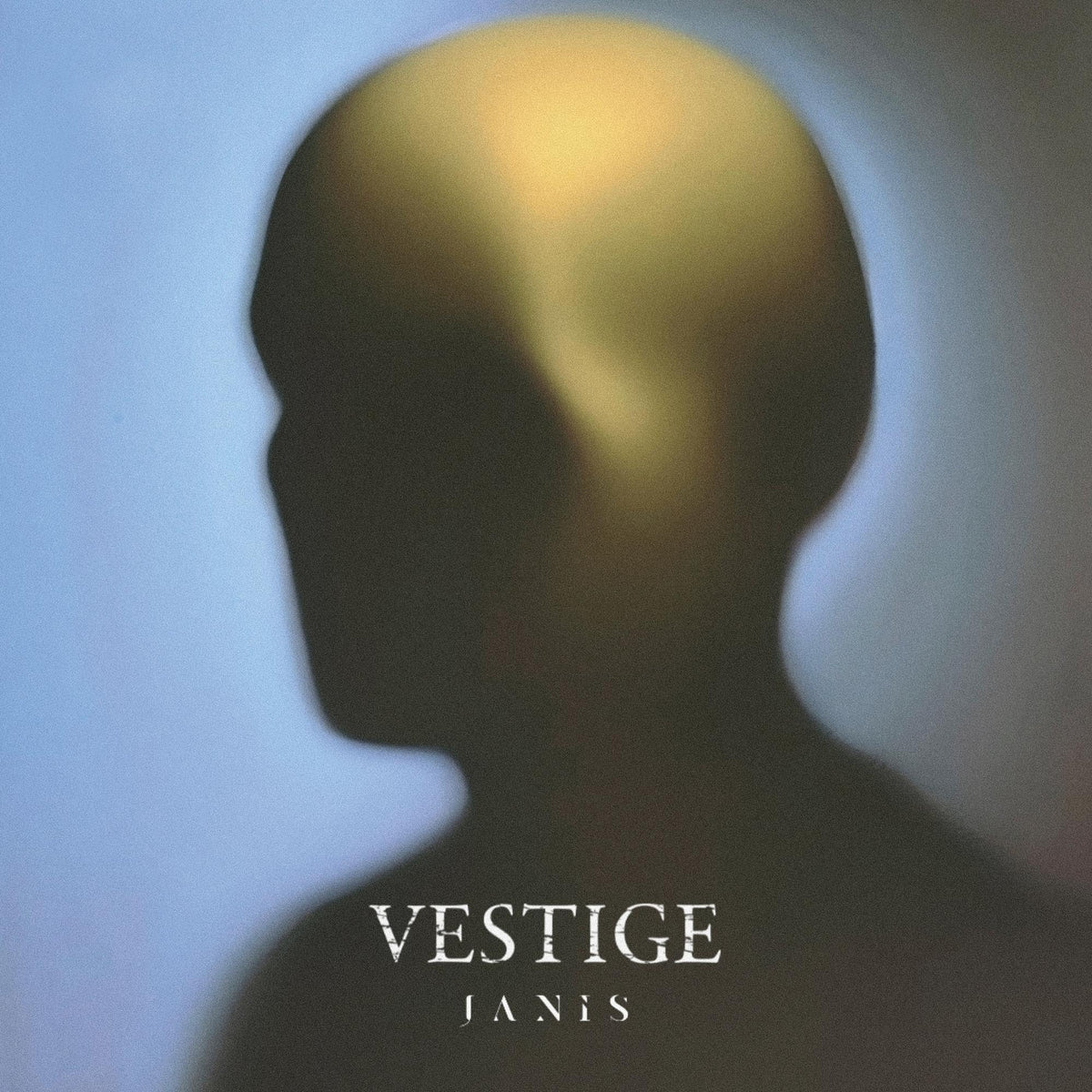 Vestige – Janis vinyl record cover
