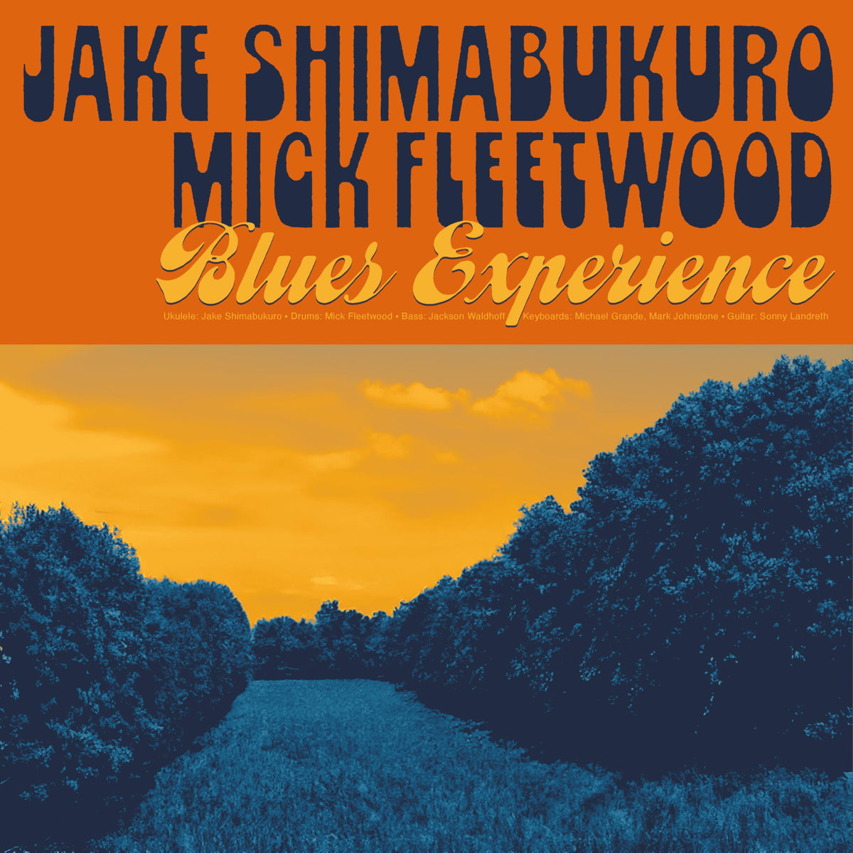 Jake Shimabukuro & Mick Fleetwood – Blues Experience vinyl record cover