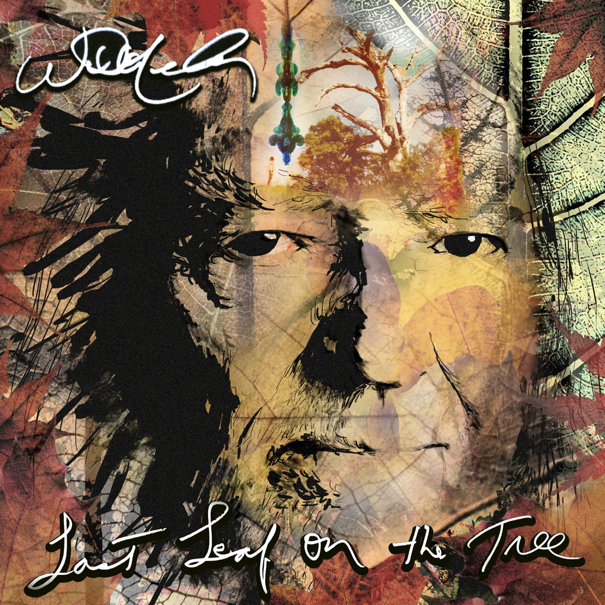 Willie Nelson – Last Leaf On the Tree vinyl record cover