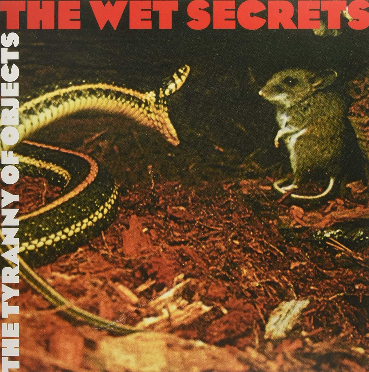 The Wet Secrets – TYRANNY OF OBJECTS,THE(LP by WET SECRETS,THE vinyl record cover
