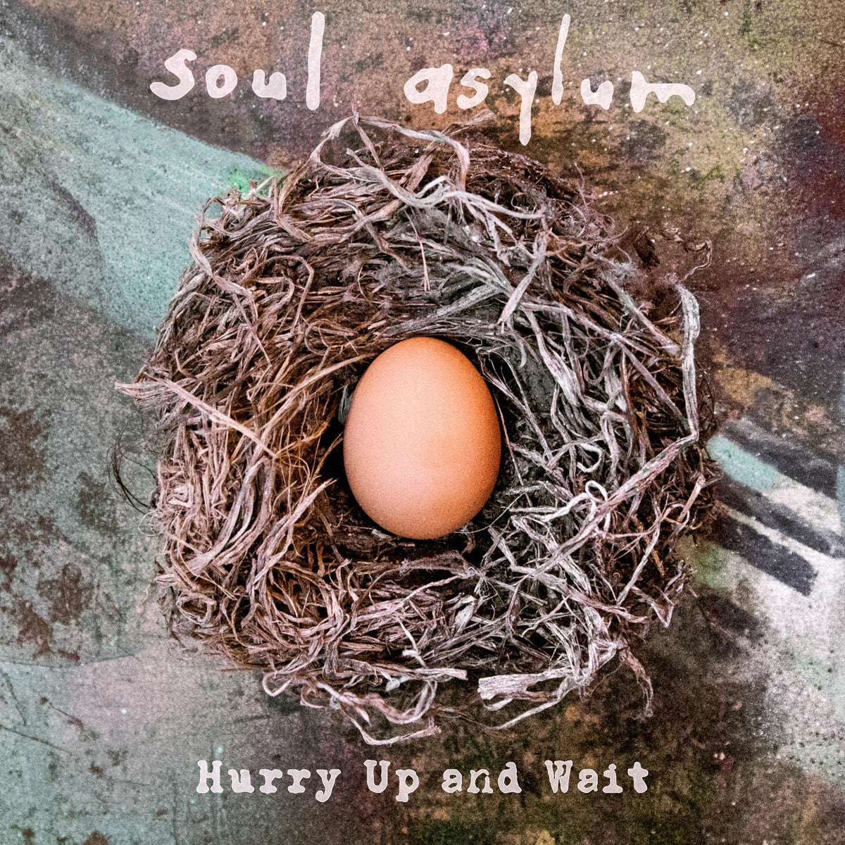 Soul Asylum – Hurry Up and Wait vinyl record cover