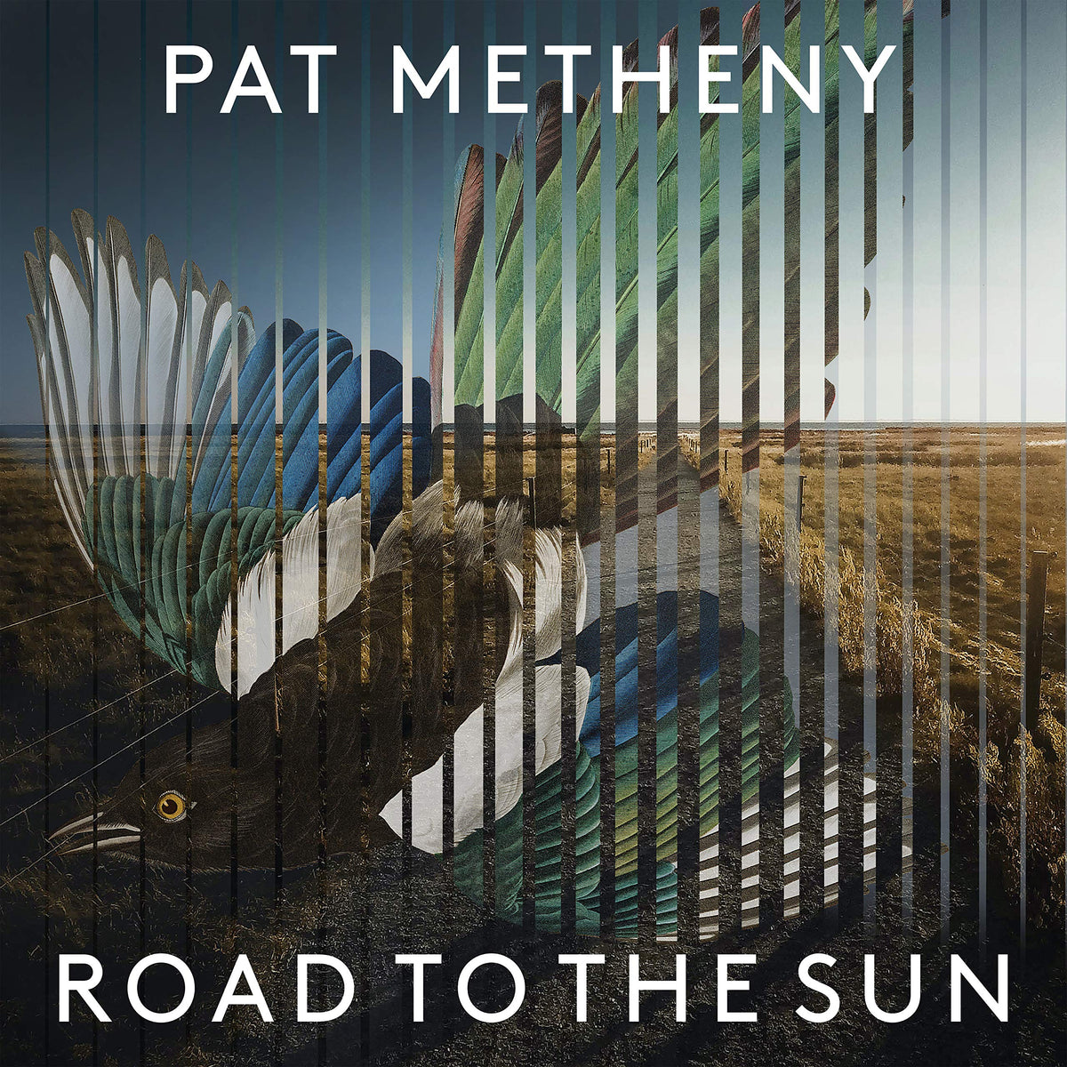 Pat Metheny – Road to the Sun vinyl record cover