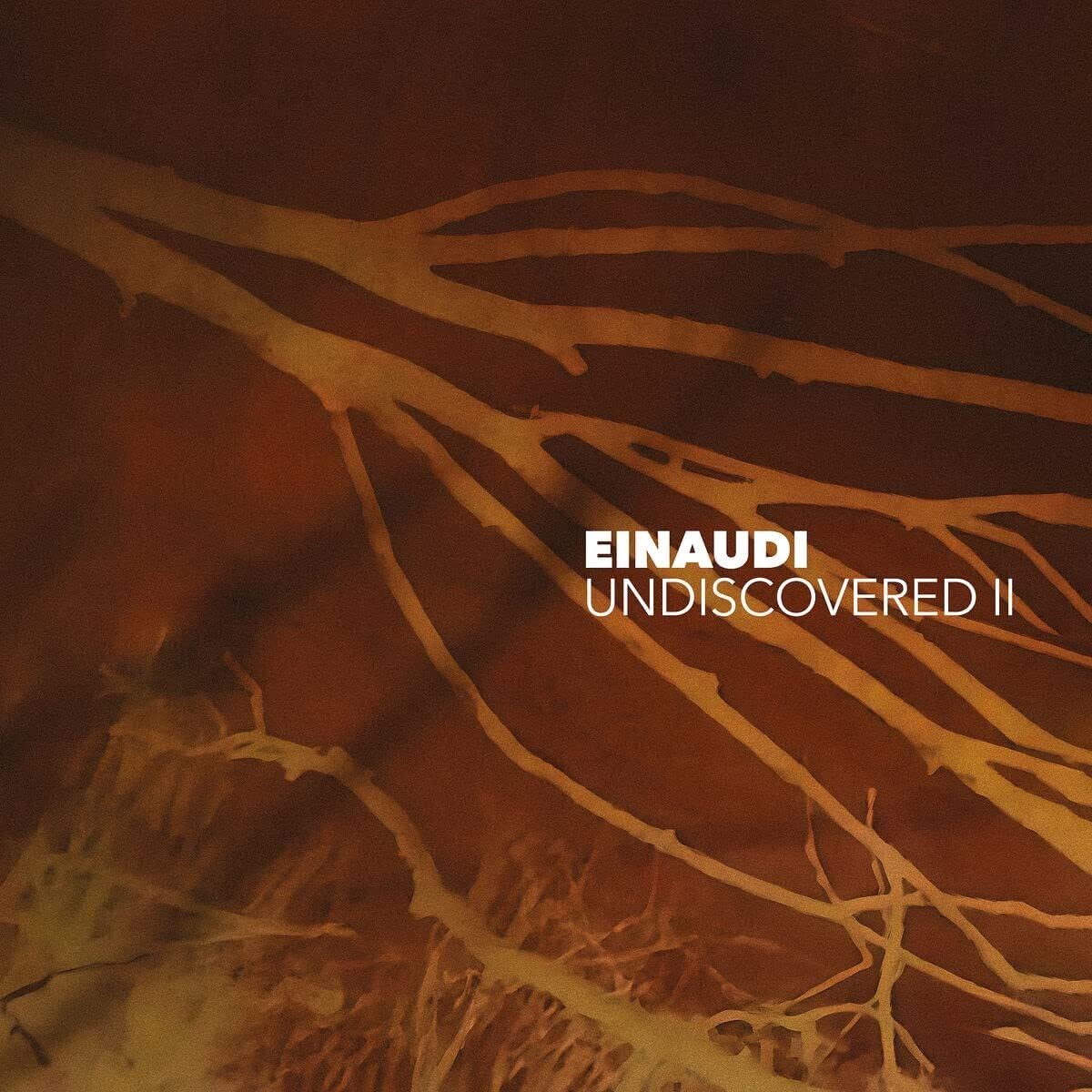 Ludovico Einaudi – Einaudi: Undiscovered II vinyl record cover