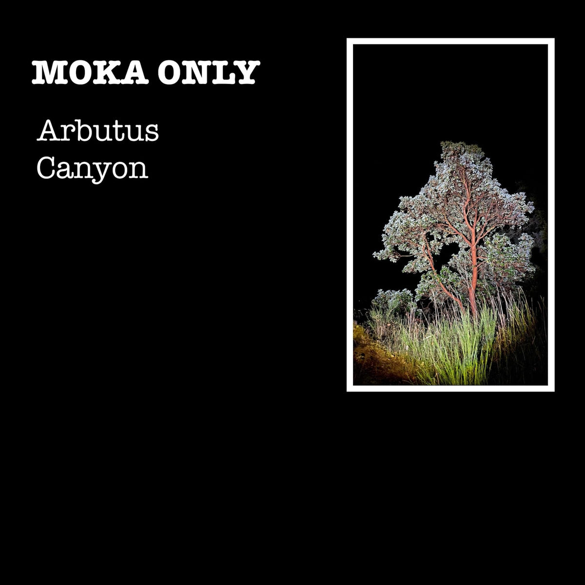 Moka Only – Arbutus Canyon vinyl record cover