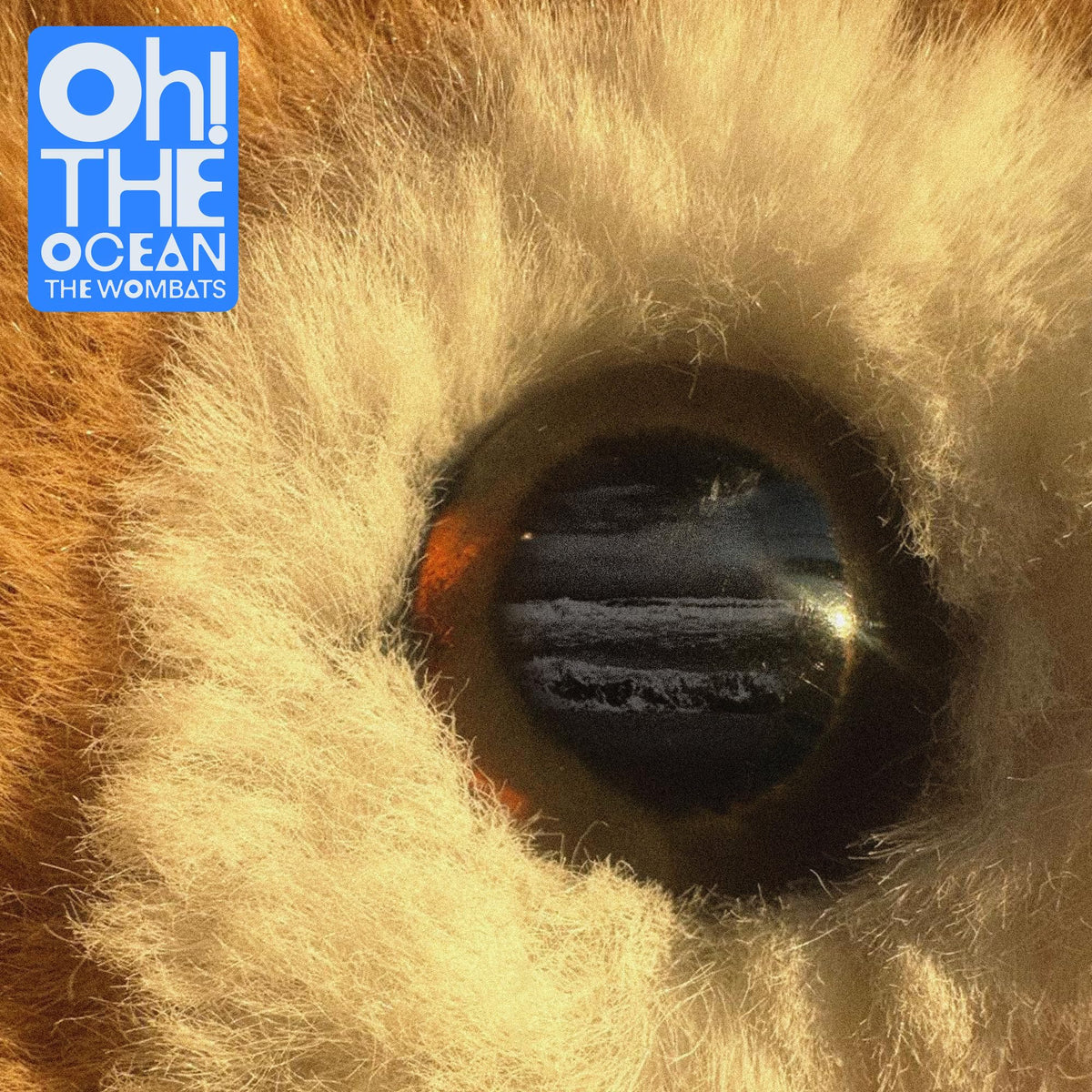 The Wombats – Oh! The Ocean vinyl record cover