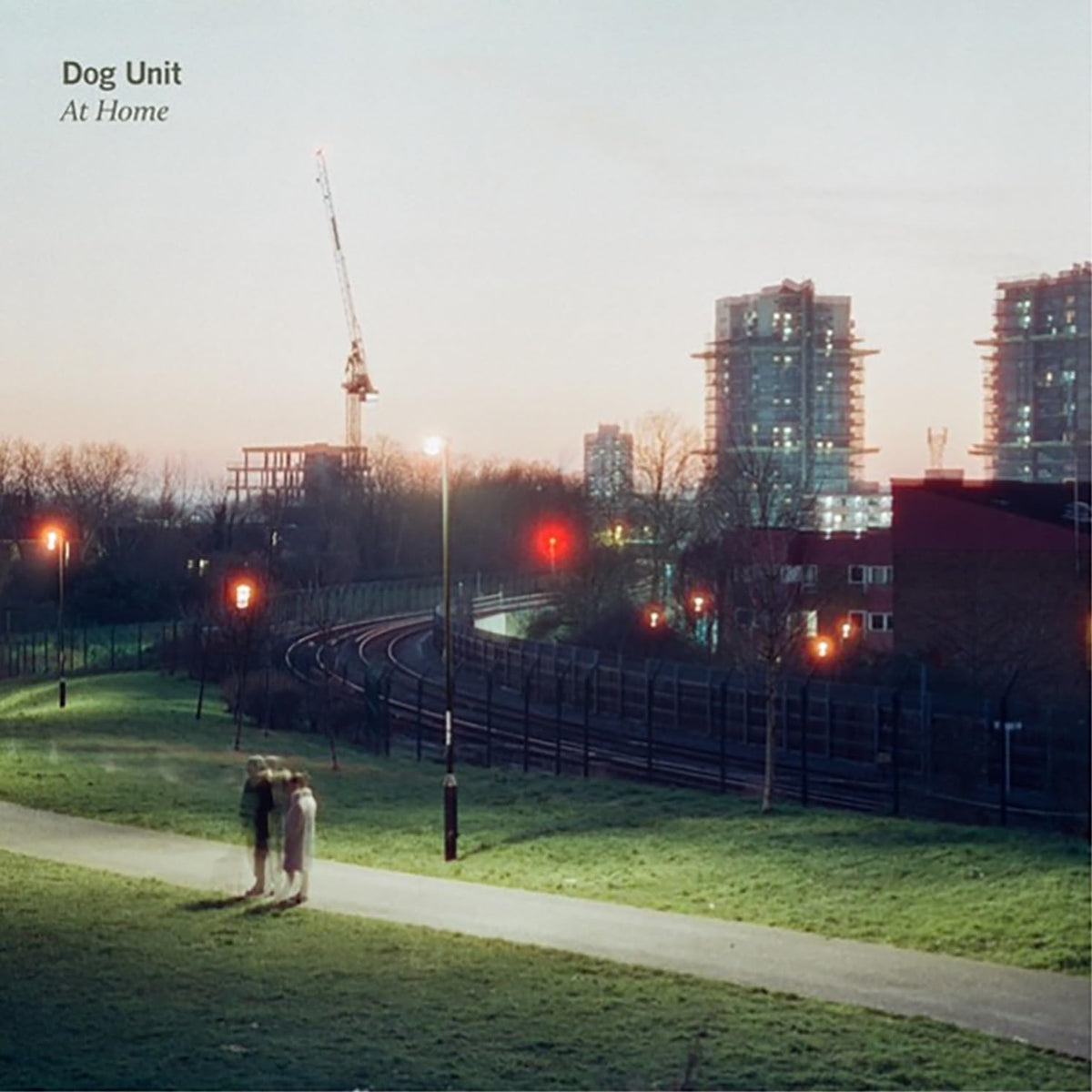 Dog Unit – At Home vinyl record cover
