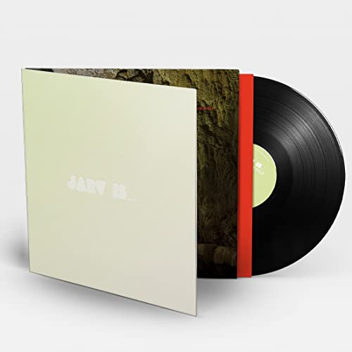 Jarv Is... – Beyond the Pale vinyl record cover