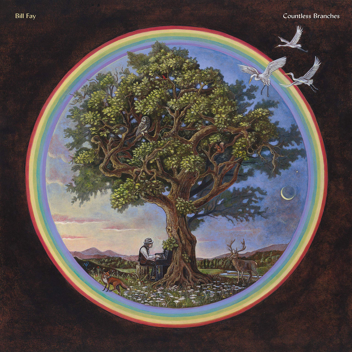 Bill Fay – Countless Branches vinyl record cover