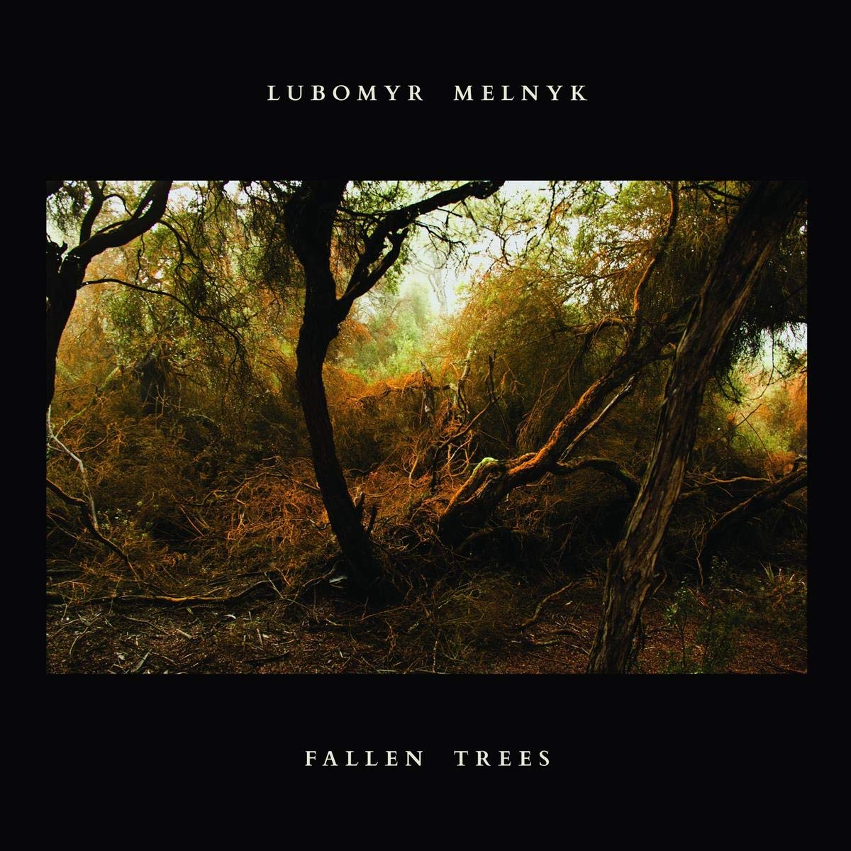 Lubomyr Melnyk – Fallen Trees vinyl record cover