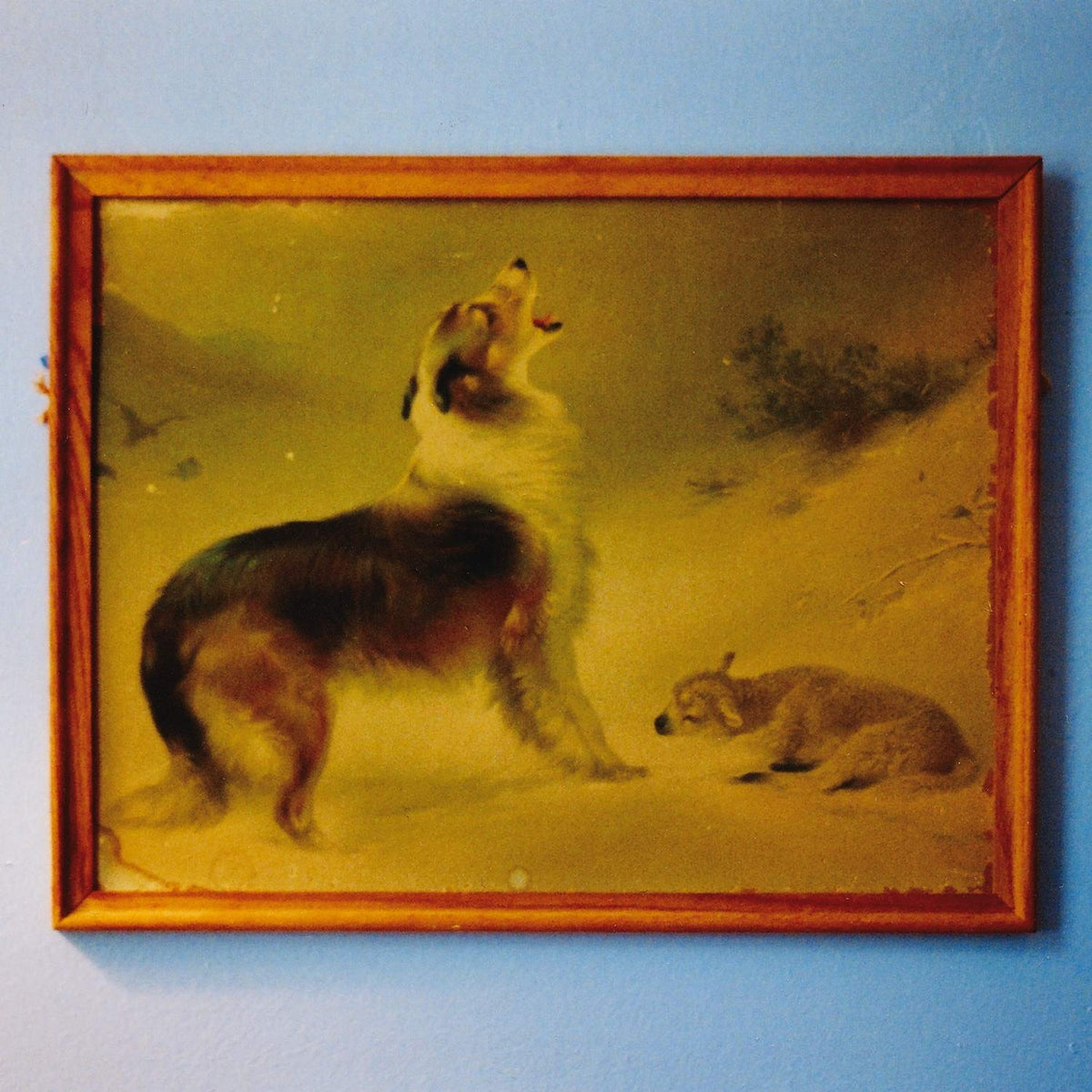 Explosions in the Sky – The Rescue vinyl record cover