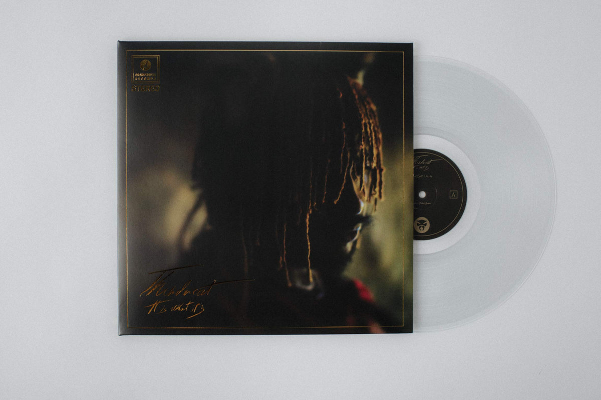Thundercat – It Is What It Is vinyl record cover