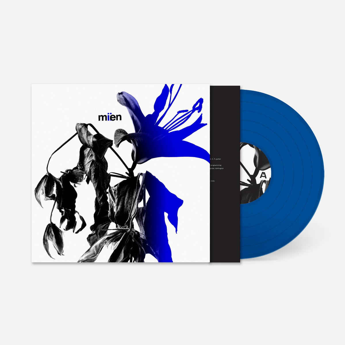 Mien – Miien vinyl record cover