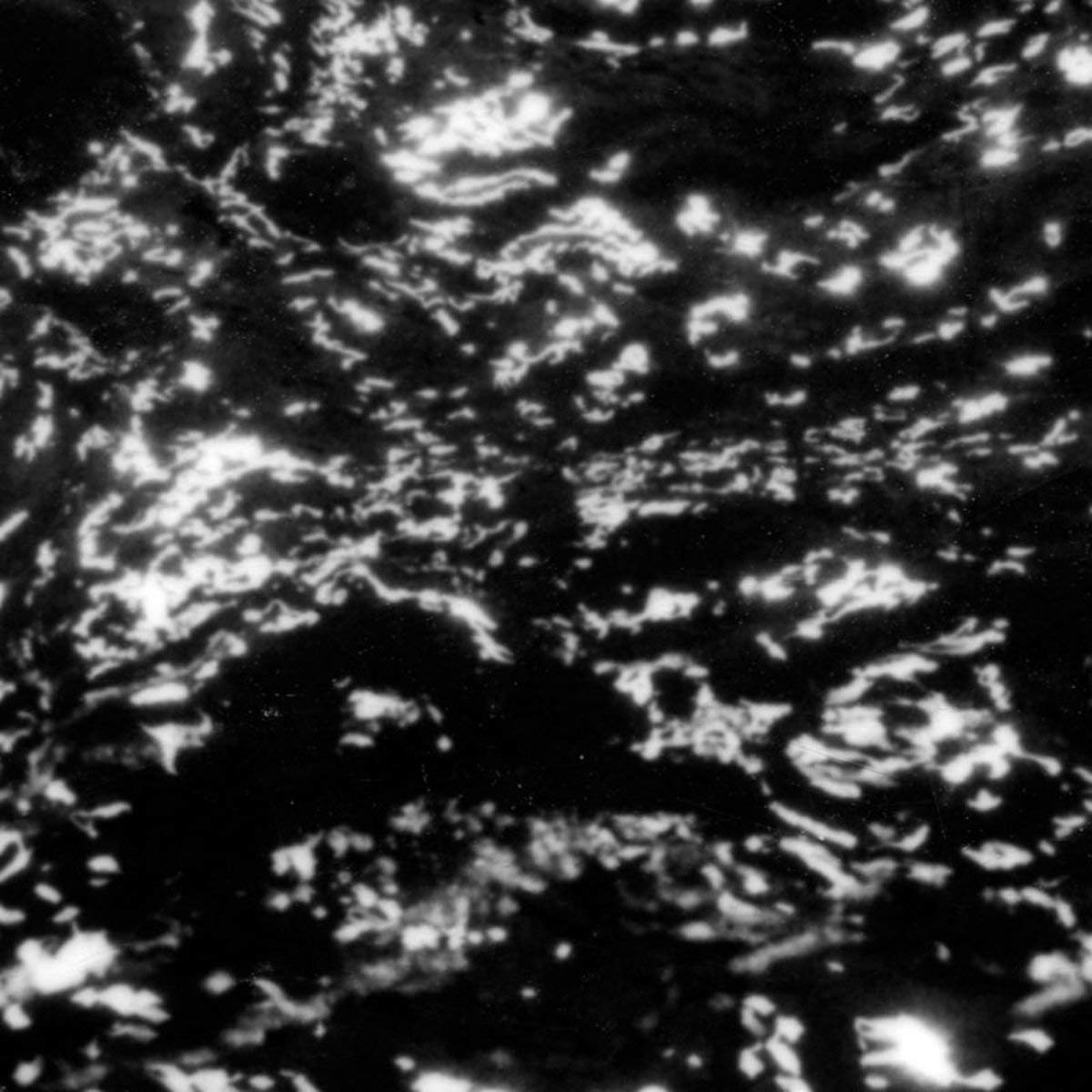 Grouper – AIA: Dream Loss vinyl record cover