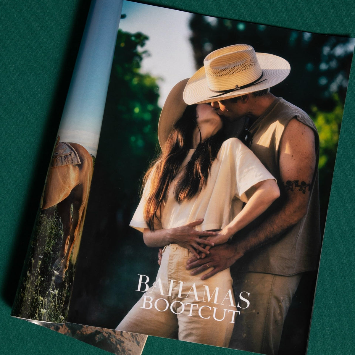 Bahamas – Bootcut vinyl record cover