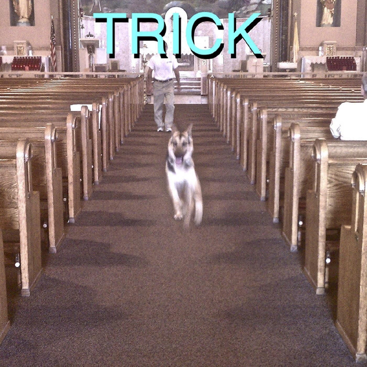 Alex G – Trick vinyl record cover