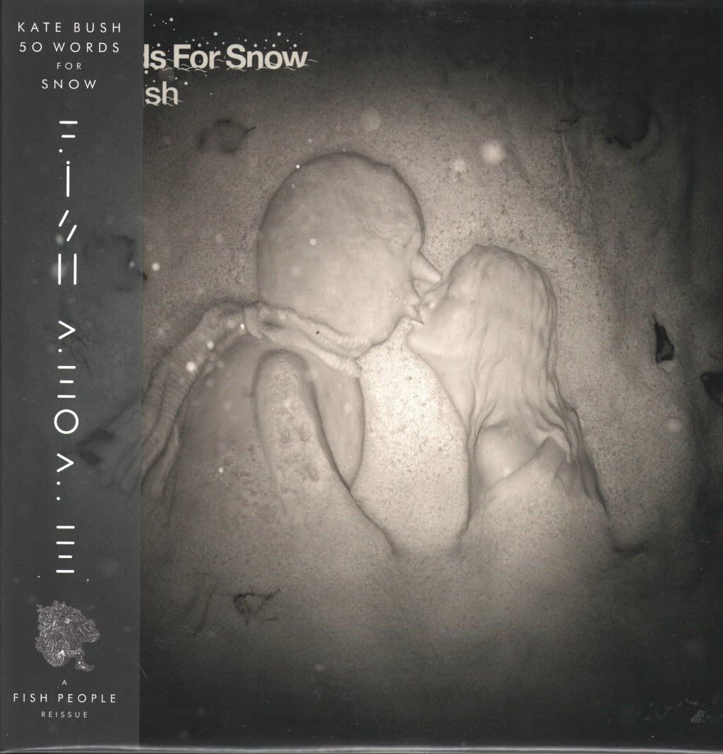 Kate Bush – 50 Words for Snow vinyl record cover