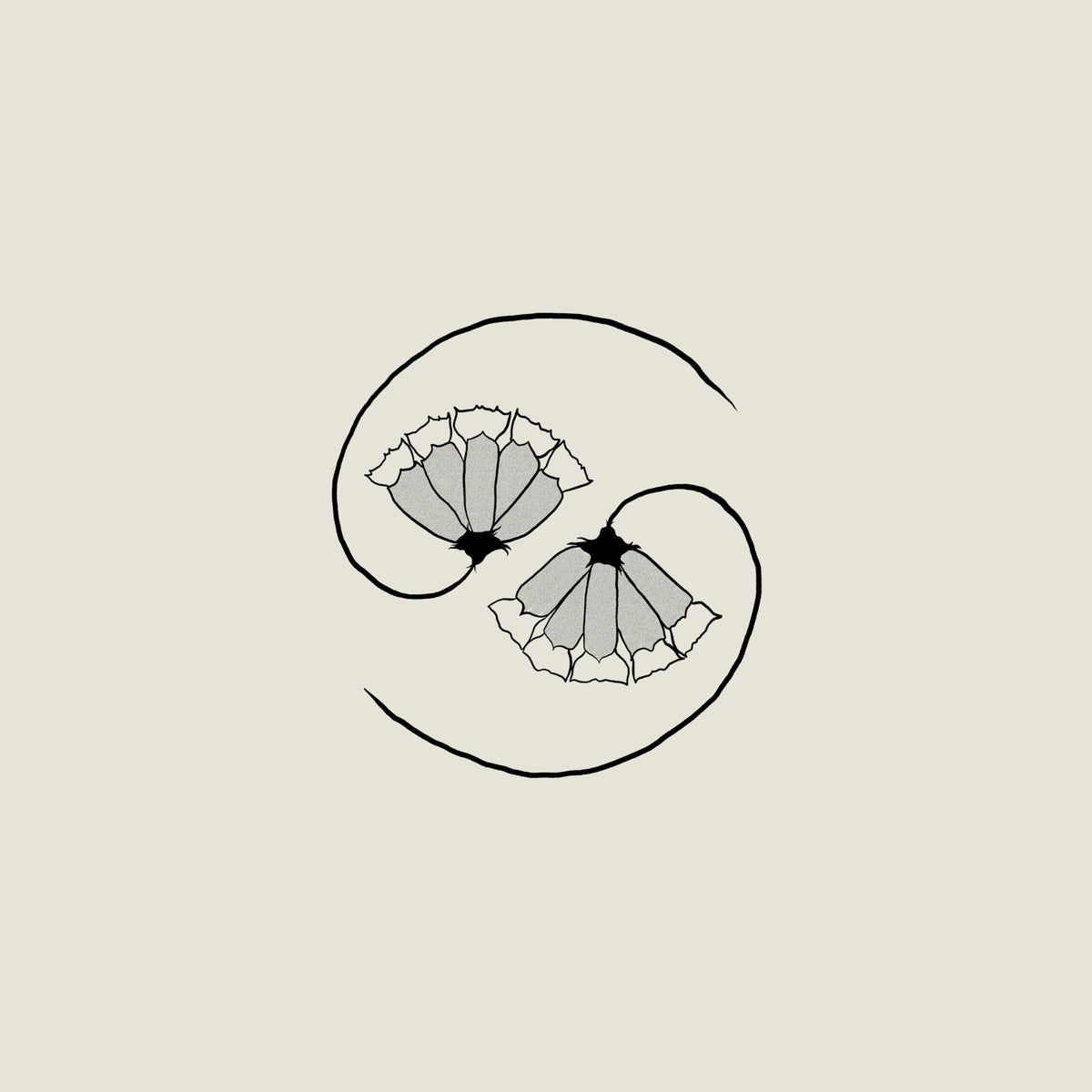 Godspeed You! Black Emperor – G_d'S Pee at State'S End! vinyl record cover