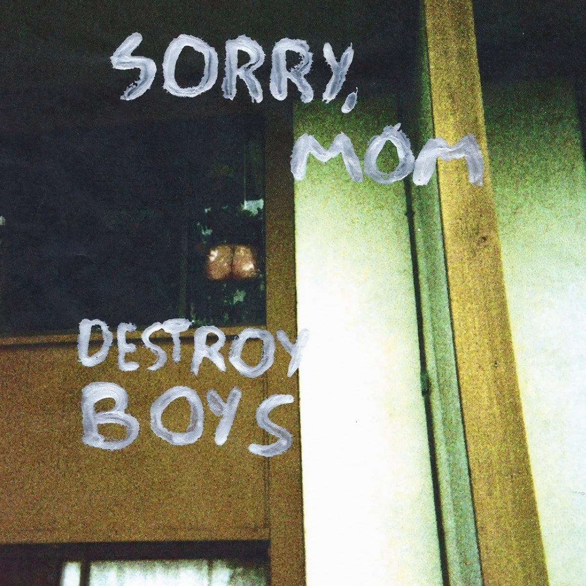 Destroy Boys – Sorry Mom (Vinyl) vinyl record cover