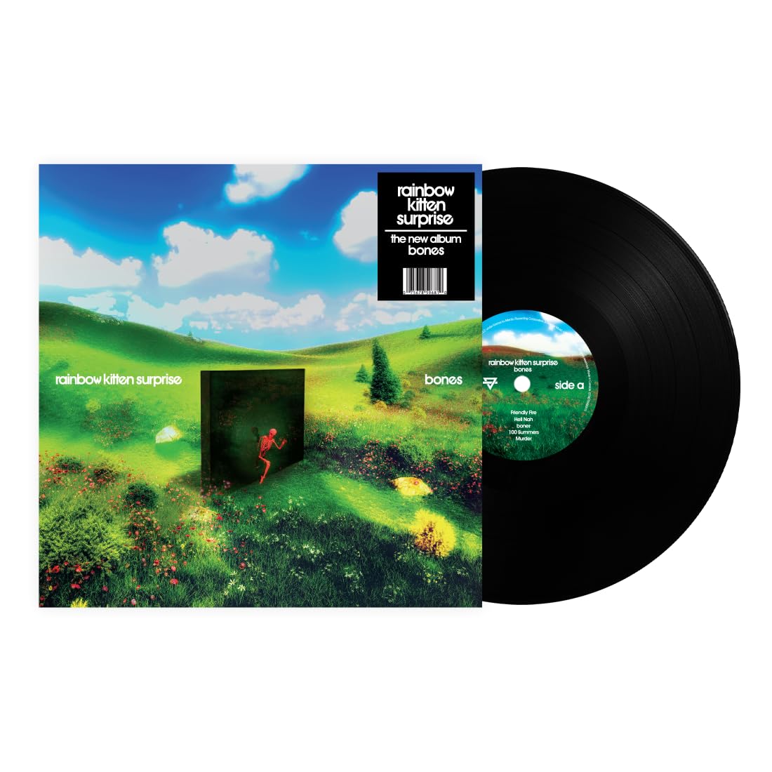 Rainbow Kitten Surprise – Bones vinyl record cover