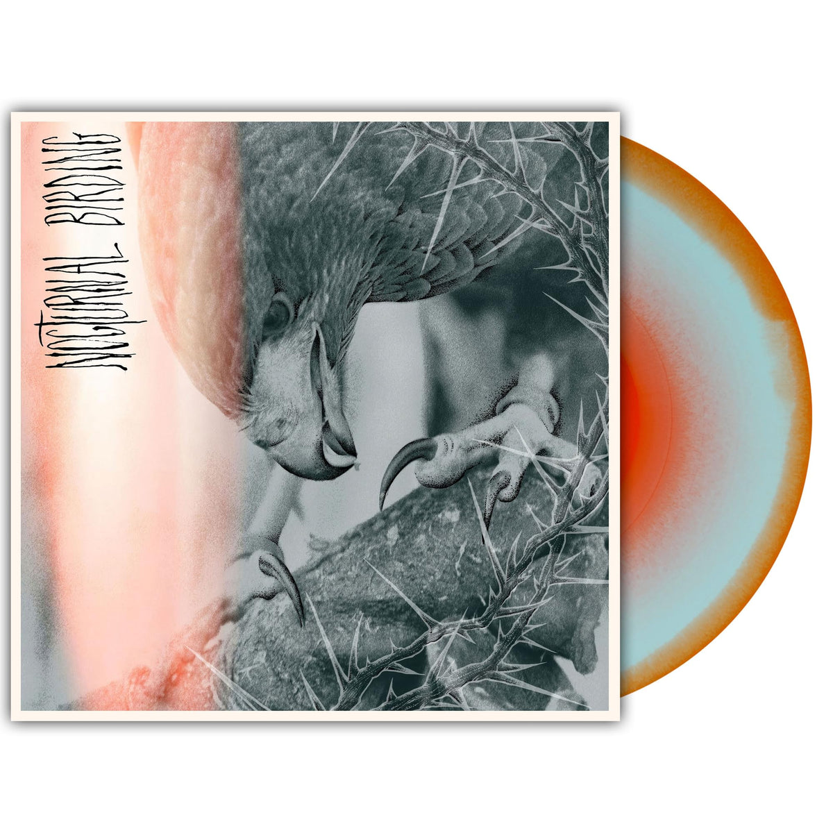 Author & Punisher – Nocturnal Birding vinyl record cover