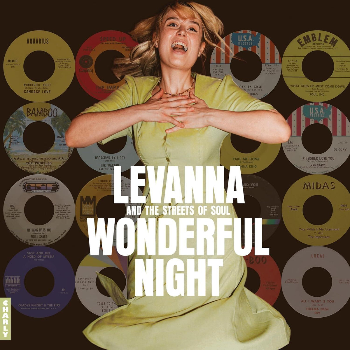Various Artists – Wonderful Night vinyl record cover