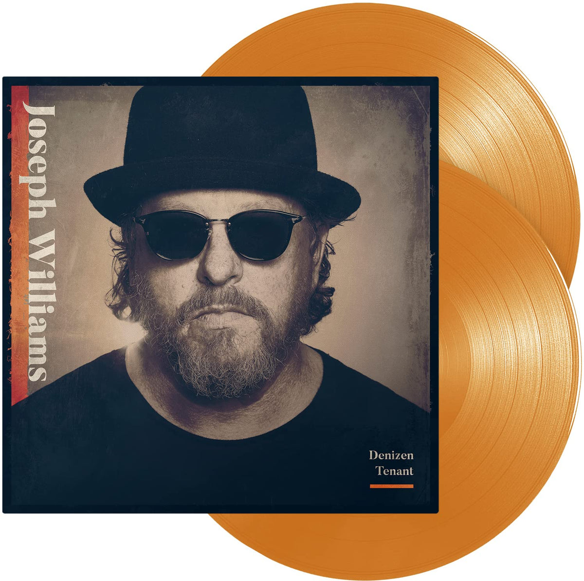 Joseph Williams – Denizen Tenant vinyl record cover