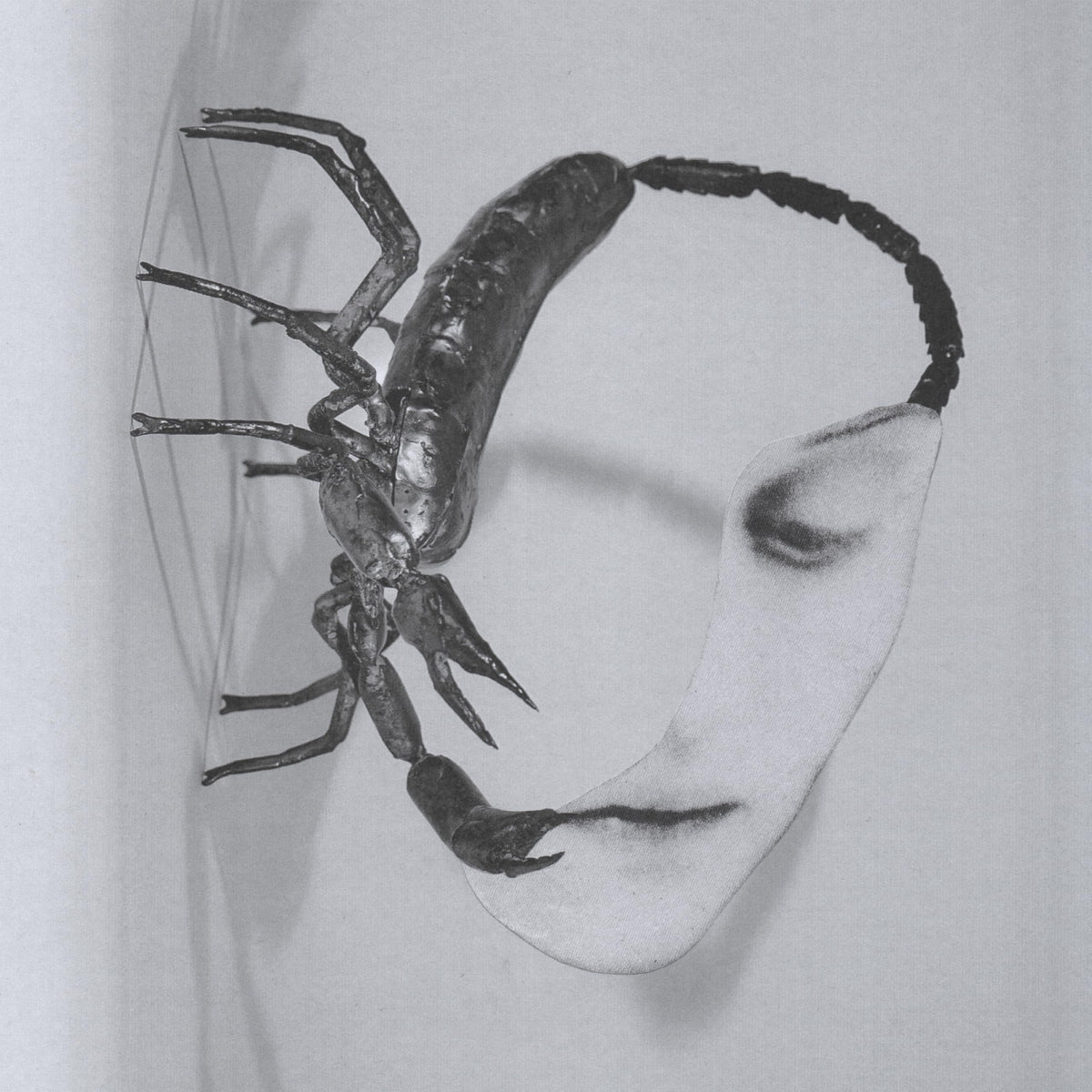 Tortoise – Touch vinyl record cover