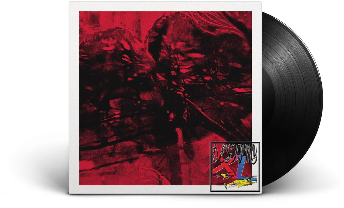 They Are Gutting a Body of Water – Destiny XL vinyl record cover
