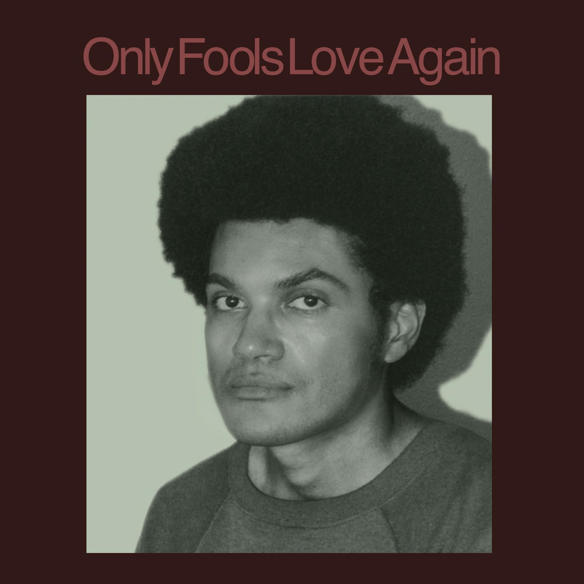 Danny Ayala – Only Fools Love Again (LP) by Danny Ayala vinyl record cover