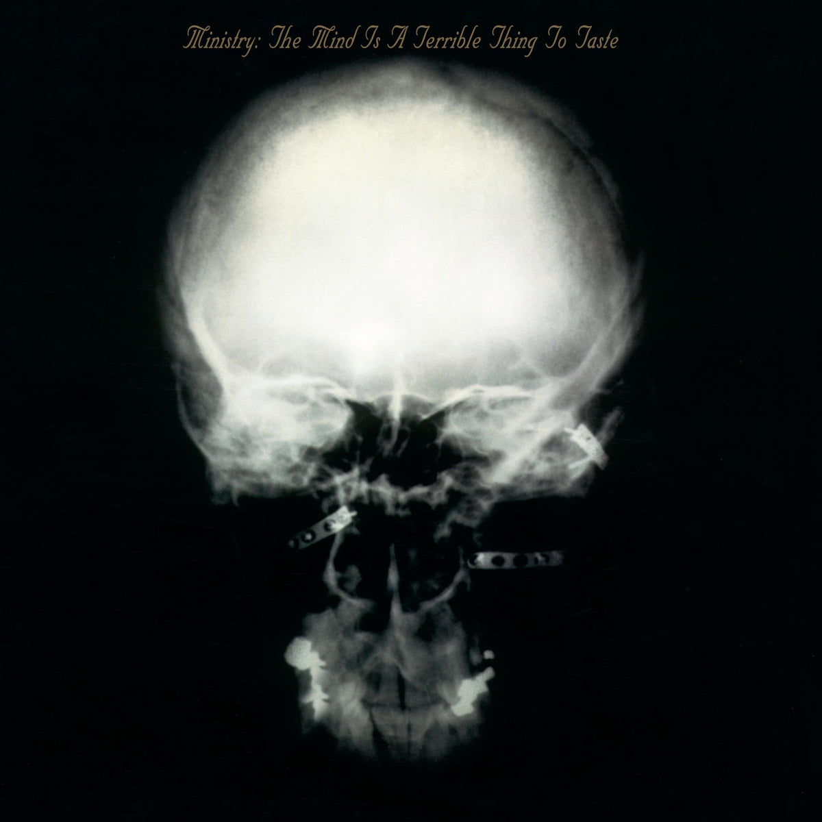 Ministry – Mind Is A Terrible Thing To Taste(Expanded Edition) (Deluxe / 2LP) vinyl record cover