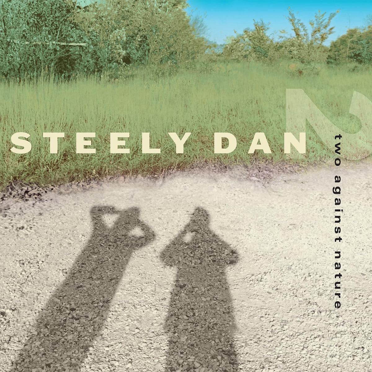 Steely Dan – Two Against Nature vinyl record cover