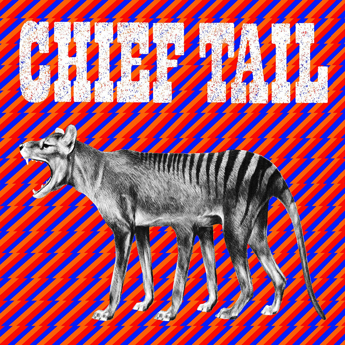 Chief Tail – Chief Tail vinyl record cover