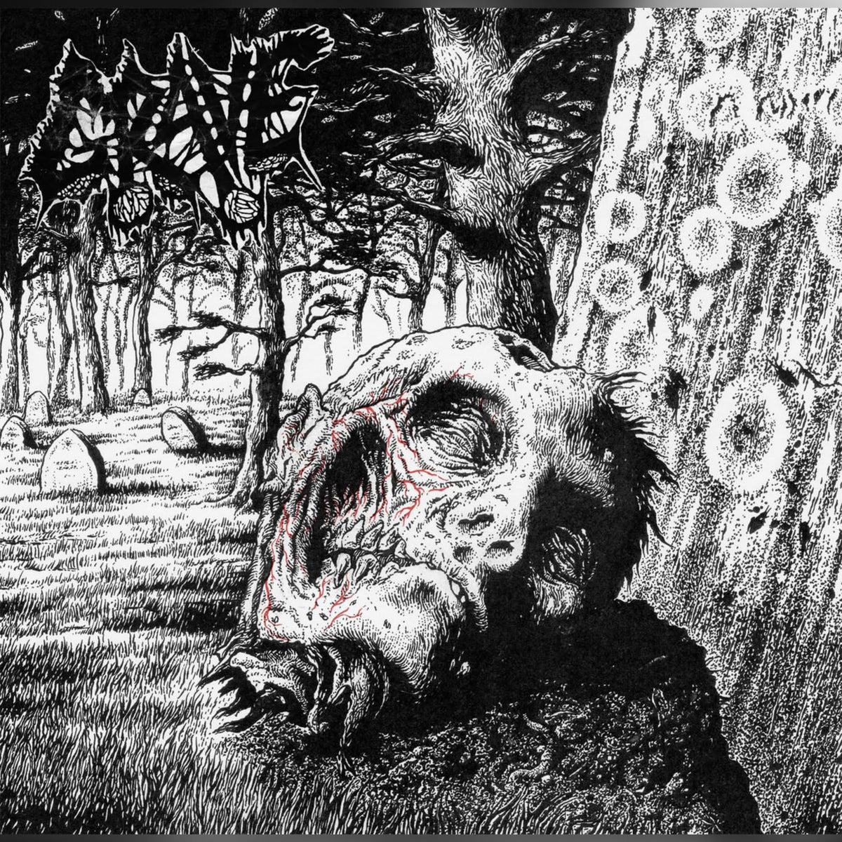 Grave/Corpse/Putrefaction – Necropsy (Box Set) vinyl record cover