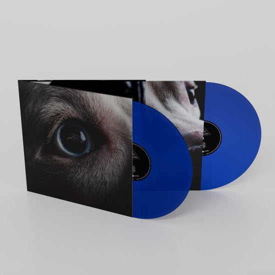 Roger Waters – The Dark Side of the Moon Redux (Blue Vinyl) (2LP) — album cover