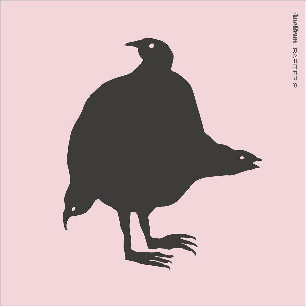 Ane Brun – Rarities 2 vinyl record cover