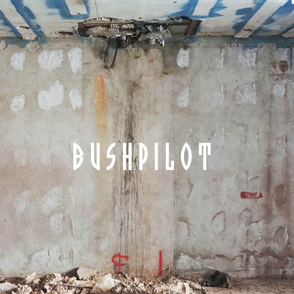 Bushpilot – Already! vinyl record cover