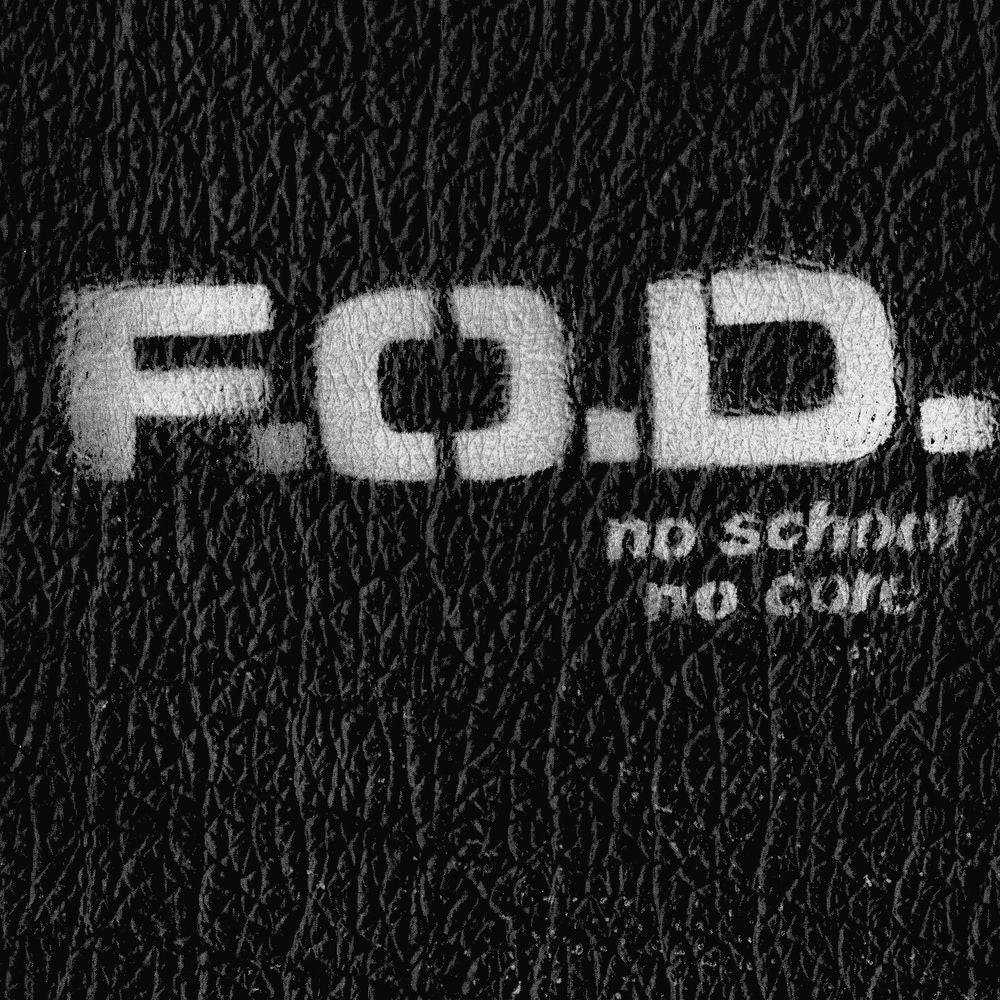 Flag of Democracy – No School No Core vinyl record cover