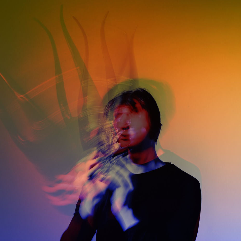 Lambert – False vinyl record cover