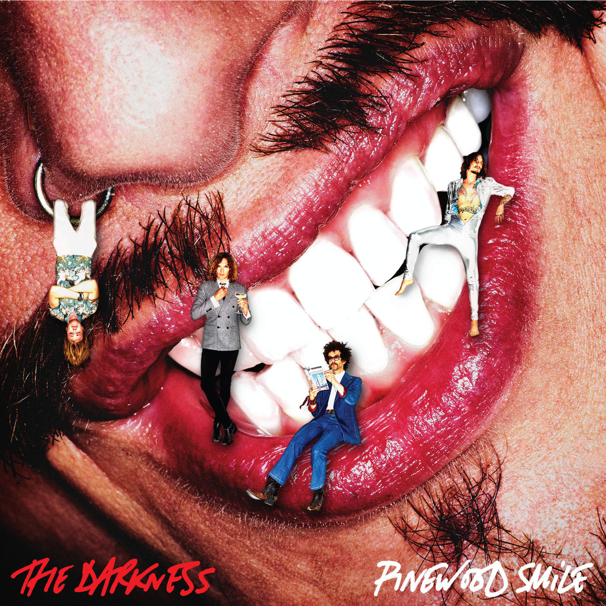 The Darkness – Pinewood Smile vinyl record cover