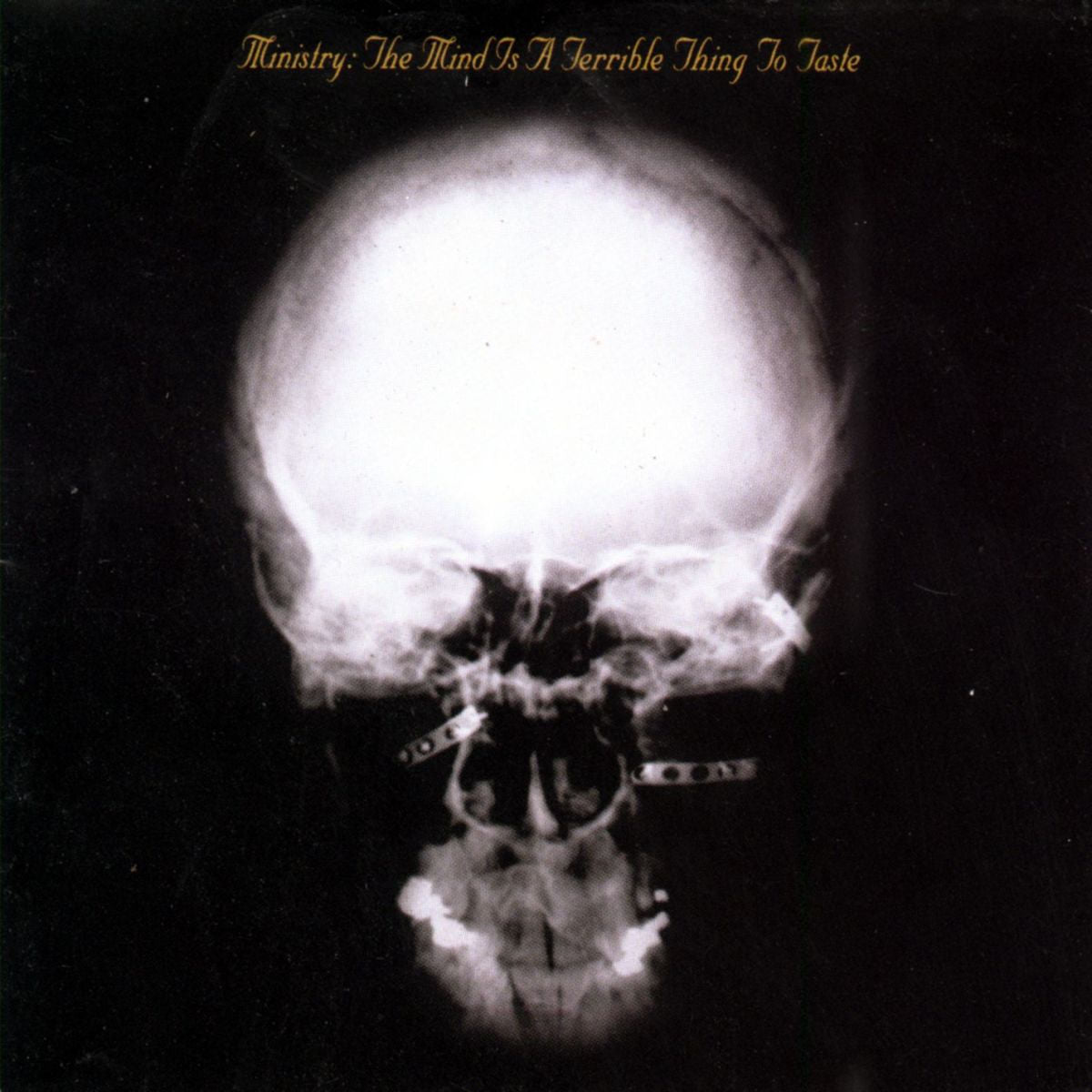 Ministry – The Mind Is a Terrible Thing to Taste