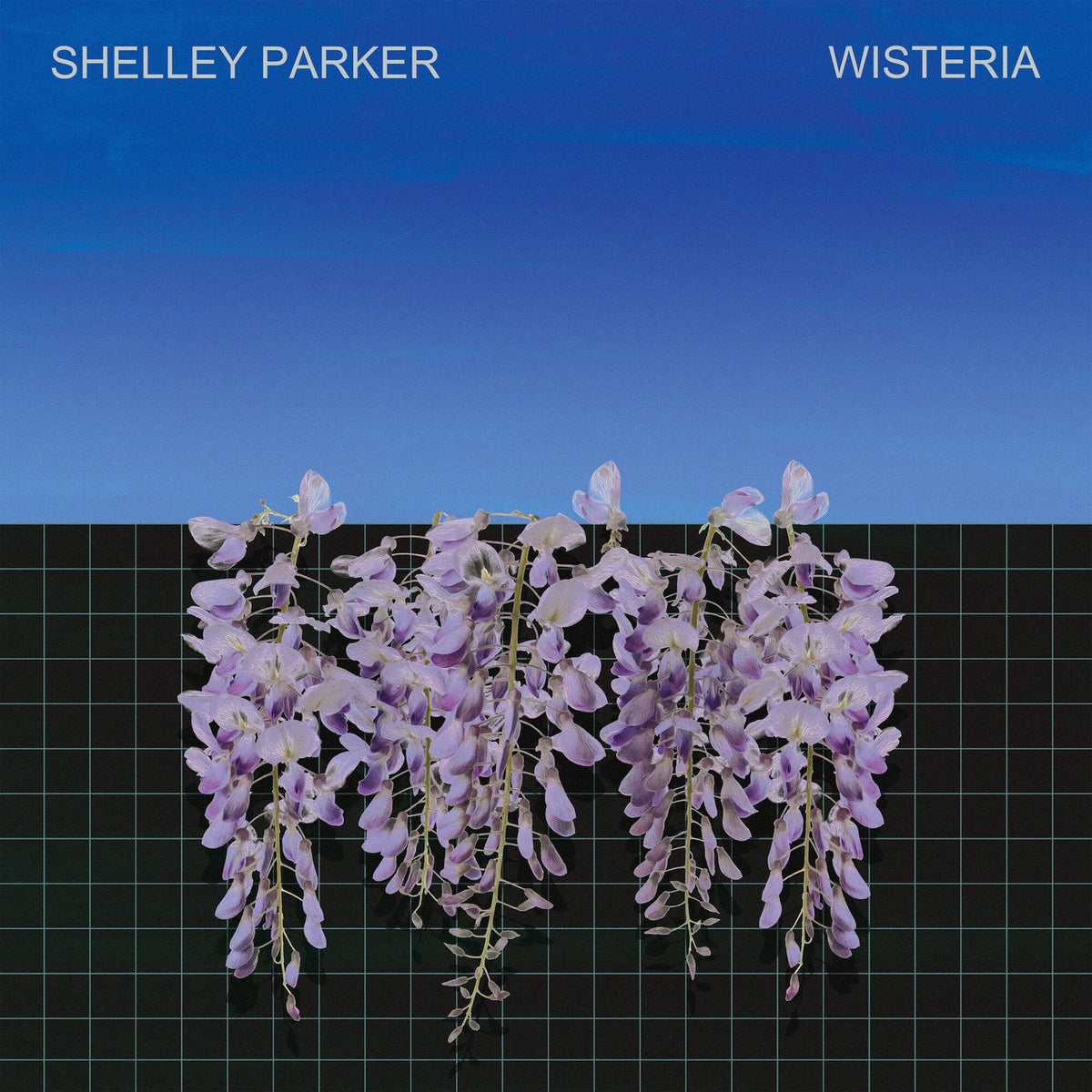Shelley Parker – Wisteria vinyl record cover