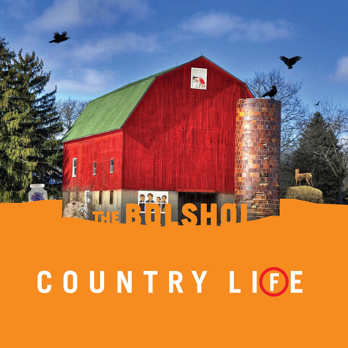 The Bolshoi – Country Life vinyl record cover