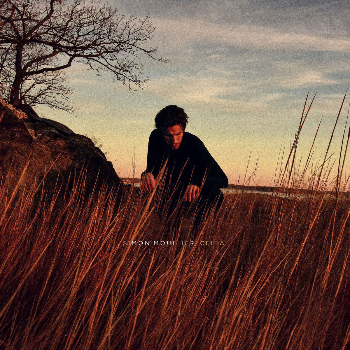 Simon Moullier – Ceiba vinyl record cover