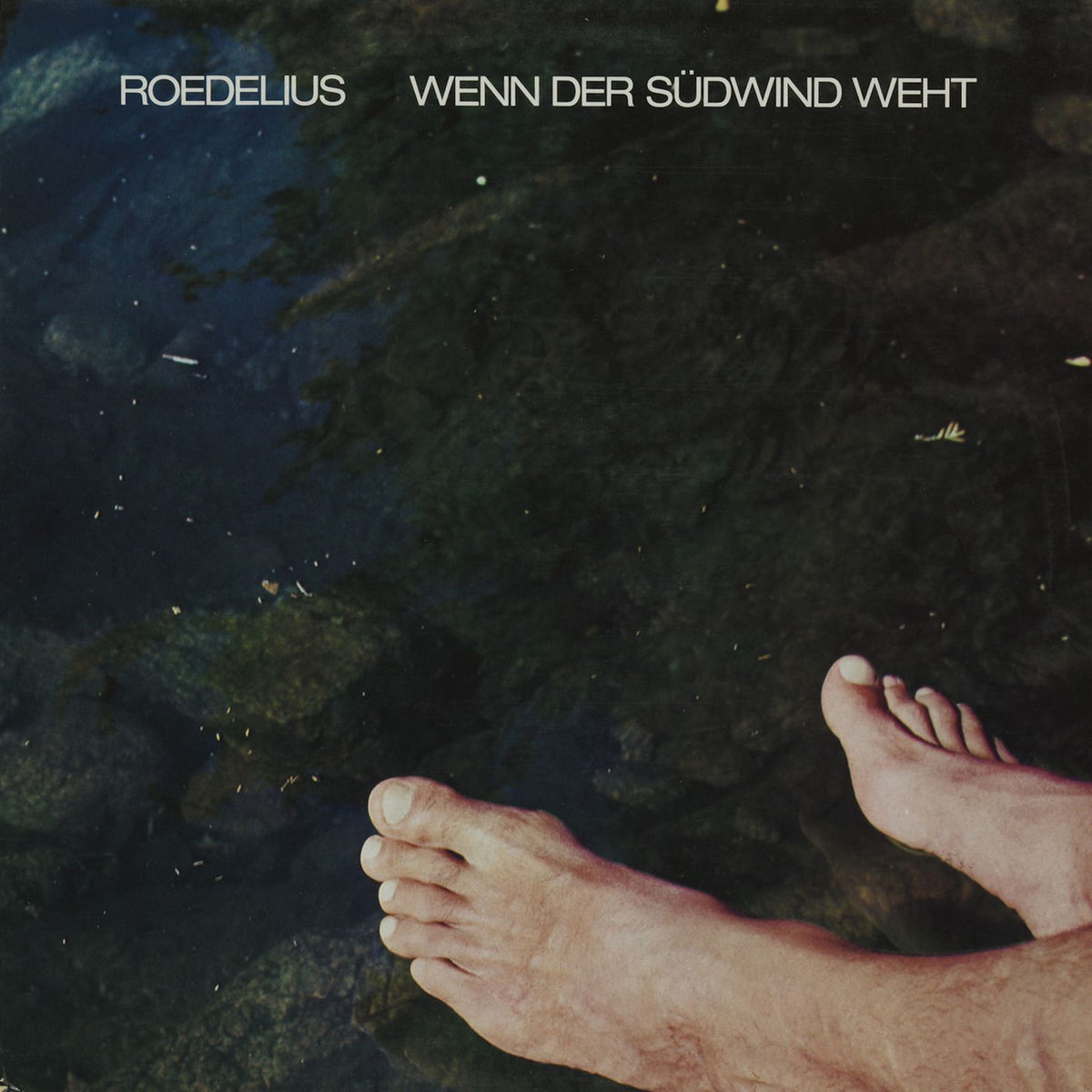 Roedelius – Wenn Der Südwind Weht vinyl record cover