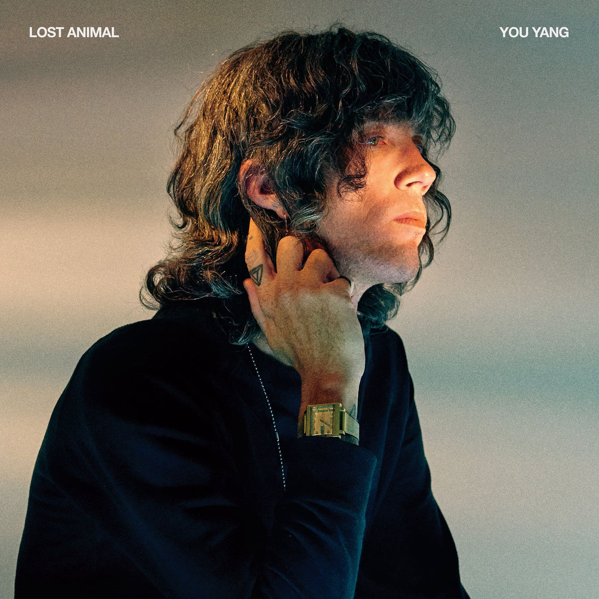 Lost Animal – You Yang vinyl record cover